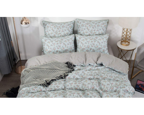 Постельное белье евростандарт Валентина