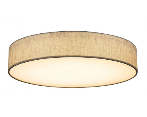 Накладной светильник Globo Paco 15185D5