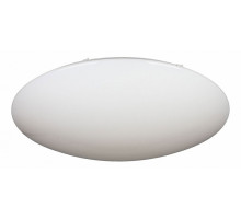 Накладной светильник Omnilux Berkeley OML-43007-100