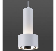 Подвесной светильник Elektrostandard Charlie a041312