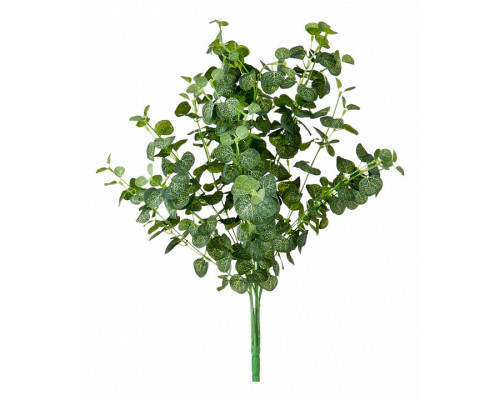 Ветка (50 см) Эвкалипт 21-1001