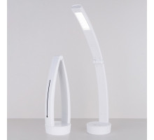 Настольная лампа офисная Elektrostandard Rizar a039404