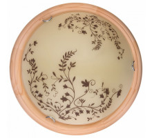 Накладной светильник TopLight Irene TL9630Y-00PN