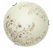 Накладной светильник Arte Lamp Ornament A4920PL-3CC