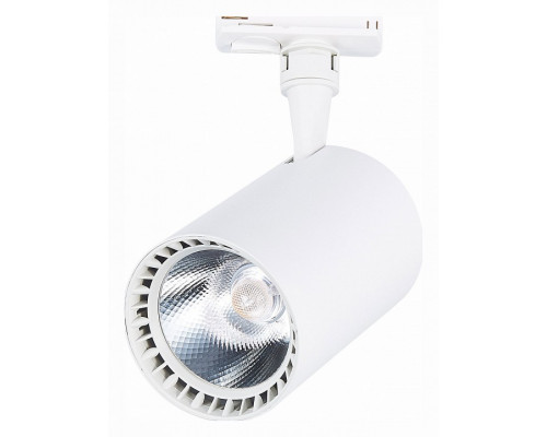 Светильник на штанге ST-Luce Cami