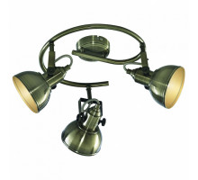 Спот Arte Lamp Martin A5215PL-3AB
