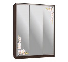 Шкаф-купе Бассо 4-600 орхидеи