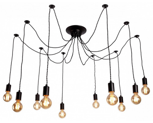 Подвесной светильник Arte Lamp Fuori A9184SP-10BK