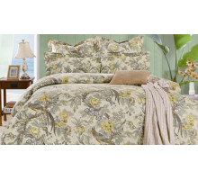 Постельное белье евростандарт CL-193