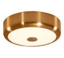 Накладной светильник Citilux Фостер-1 