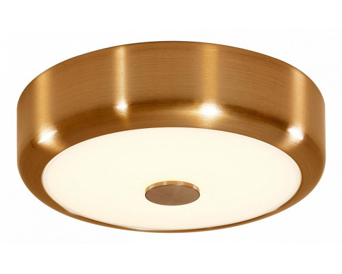 Накладной светильник Citilux Фостер-1