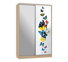 Шкаф-купе Гранд 9-600 88