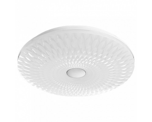 Накладной светильник Arte Lamp 2460 A2460PL-1WH