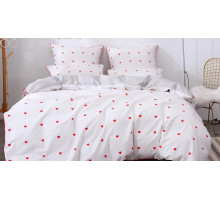 Постельное белье евростандарт Модерн №24