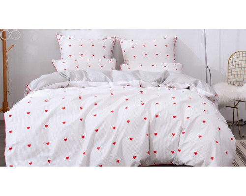 Постельное белье евростандарт Модерн №24