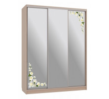 Шкаф-купе Бассо 4-600 розы