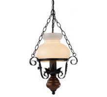 Подвесной светильник Arte Lamp Joy A3030SP-1BR