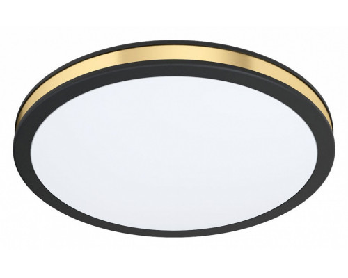 Накладной светильник Eglo ПРОМО Pescaito 99406