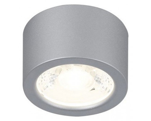 Накладной светильник Favourite Deorsum 2808-1U