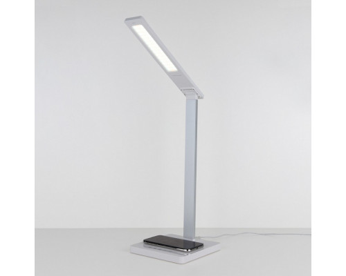 Настольная лампа офисная Elektrostandard TL90510 a039563