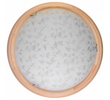 Накладной светильник TopLight Beatrice TL9280Y-00PN