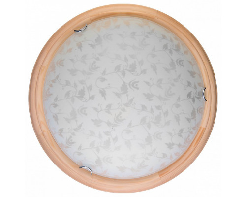 Накладной светильник TopLight Beatrice TL9280Y-00PN