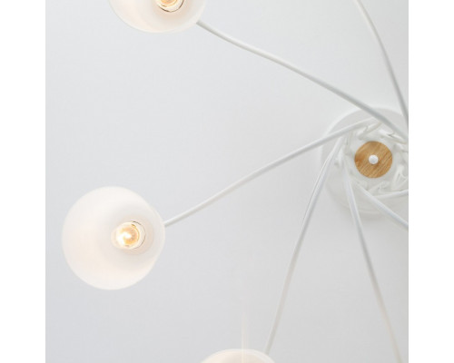 Потолочная люстра Eurosvet Betty 70062/8 белый