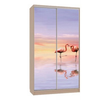 Шкаф-купе Рио 7-600 19