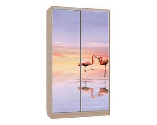 Шкаф-купе Рио 7-600 19