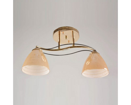 Накладной светильник Hiper Gabriella H011-2