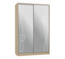 Шкаф-купе Рио 4-600 волны 2