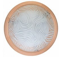 Накладной светильник TopLight Agatha TL9260Y-00PN