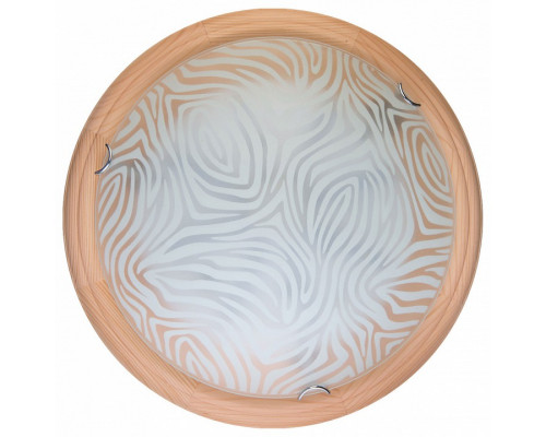 Накладной светильник TopLight Agatha TL9260Y-00PN