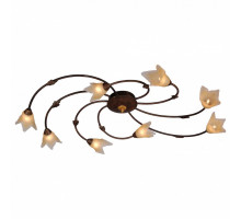 Потолочная люстра Arte Lamp Joy A1050PL-8BR