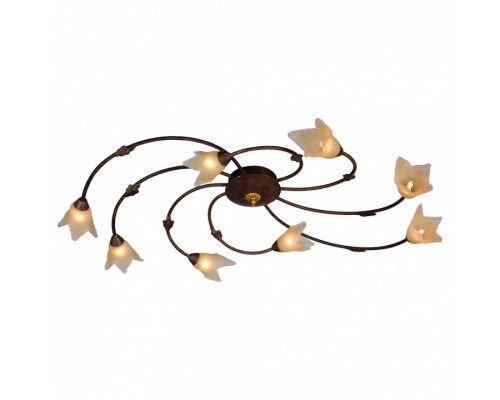 Потолочная люстра Arte Lamp Joy A1050PL-8BR