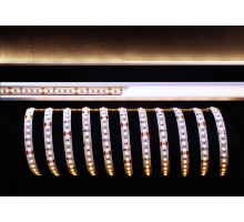 Лента светодиодная [3 м] Deko-Light  840203