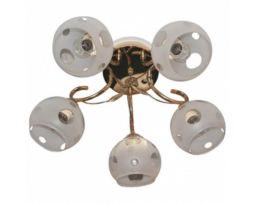 Потолочная люстра Hiper Amanda H159-1