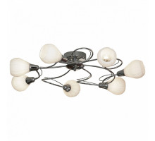 Потолочная люстра Lussole Abriola 