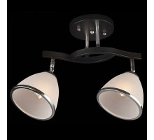 Светильник на штанге Eurosvet Ontario 9612/2 хром/венге