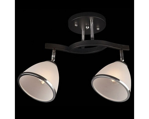 Светильник на штанге Eurosvet Ontario 9612/2 хром/венге