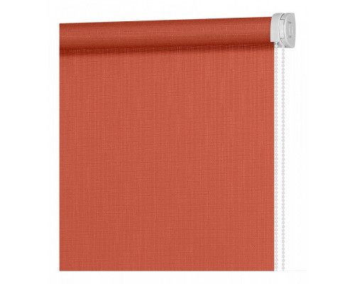 Штора рулонная (60x160 см) Апилера