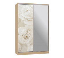 Шкаф-купе Рио 9-600 розы