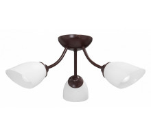 Потолочная люстра Vitaluce V3184 V3404/3PL