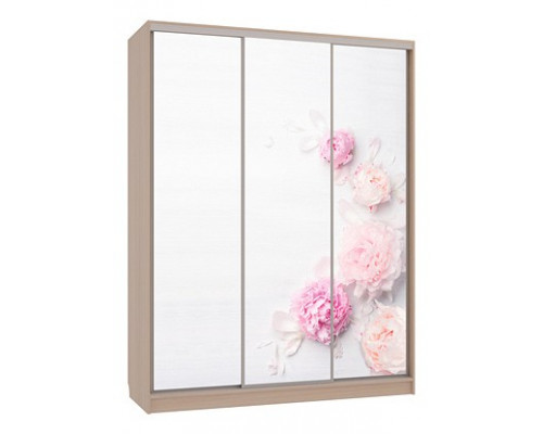 Шкаф-купе Бассо 7-600 17