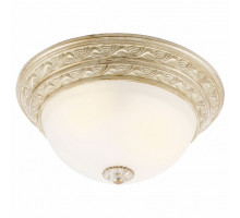 Накладной светильник Arte Lamp Piatti A8013PL-2WA