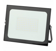 Настенно-потолочный прожектор Эра LPR-021 LPR-021-0-65K-100