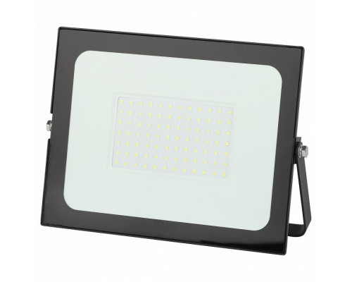 Настенно-потолочный прожектор Эра LPR-021 LPR-021-0-65K-100