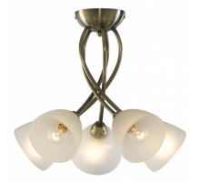 Потолочная люстра Arte Lamp Nikki A2576PL-5AB