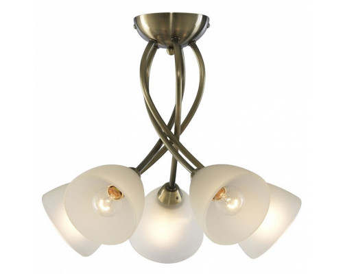 Потолочная люстра Arte Lamp Nikki A2576PL-5AB