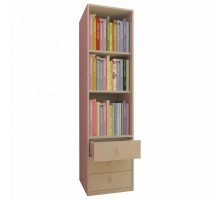 Стеллаж комбинированный Polini kids Simple